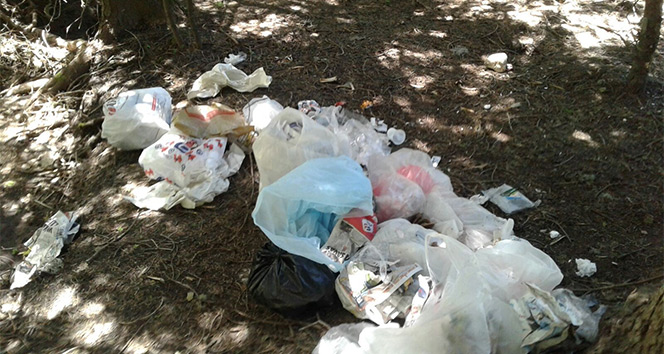 Piknikçiler Uludağ&#039;ı çöplüğe çeviriyor