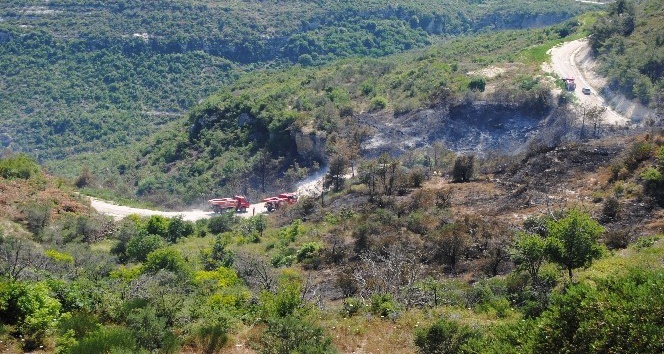 Suriye sınırındaki yangın Türkiye’ye sıçradı