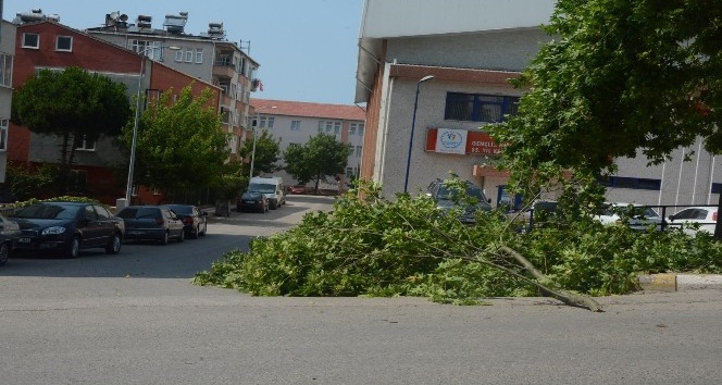 Sinop’ta şiddetli rüzgar hasara neden oldu