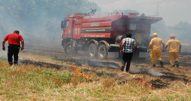 Çanakkale’de arazi yangını