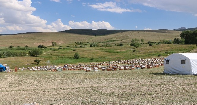 Erzincan’da tarımsal üretim yapan tesislere ziyaret