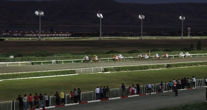 Elazığ’da gece at yarışları başladı