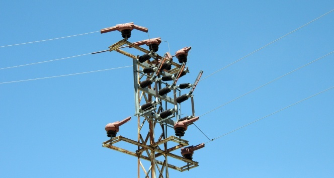 Göçmen kuşlar 'ölmesin' diye 4 milyon lira harcadılar