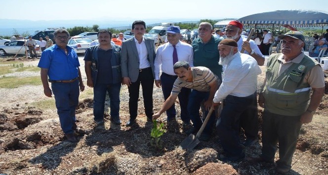 Düziçi’de 249 şehit için 249 fidan dikildi
