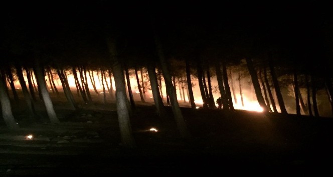 Kırıkhan’da orman yangını