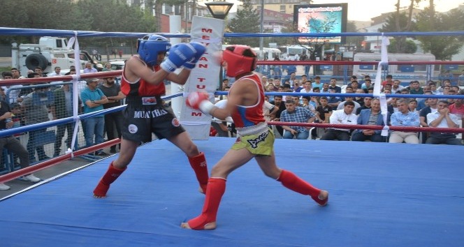 Tatvan’da Muaythai - Kickboks şampiyonası düzenlendi