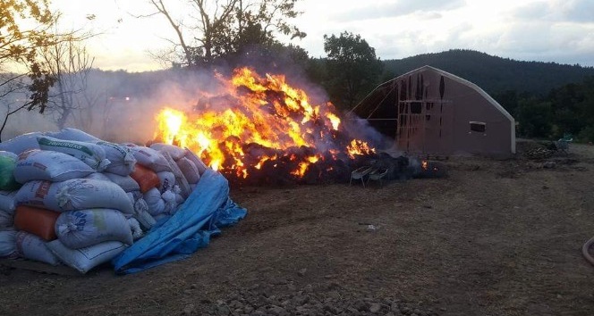 Koyun çiftliğinde yulaf balyaları yandı