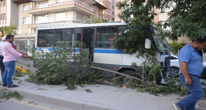 Freni patlayan minibüs ağacı yıktı