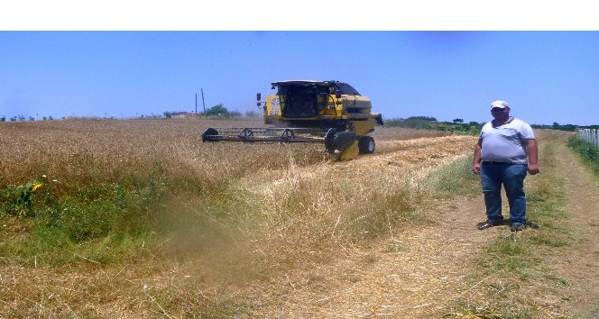Bilecik’te buğday hasadı başladı