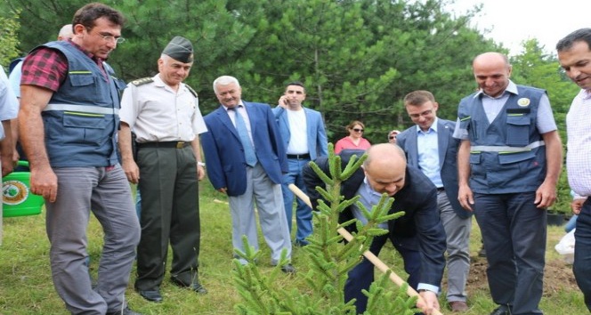 Düzce’de 15 Temmuz Demokrasi Şehitleri adına hatıra ormanı kuruldu