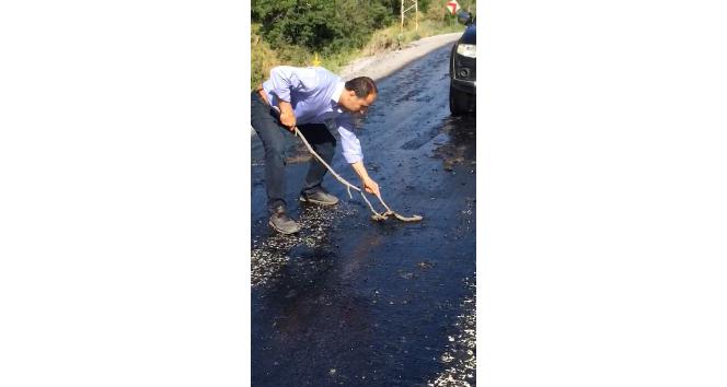 Sıcaktan eriyen asfalta yapışan yılanı vatandaş kurtardı