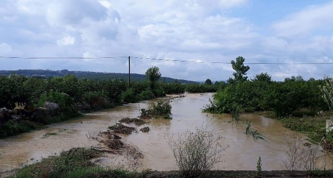 Sakarya’da tarım arazileri sular altında kaldı