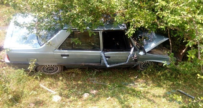 Kontrolden çıkan otomobil, ağaca çarptı: 1 yaralı