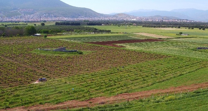 Milas’ta 16 bin 410 dekar tarım arazisi suya kavuşacak