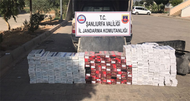 Şanlıurfa’da 18 bin paket kaçak sigara ele geçirildi
