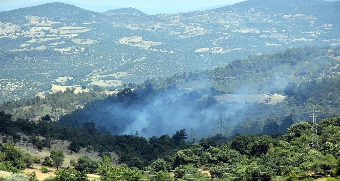 Dursunbey’de Orman Yangını