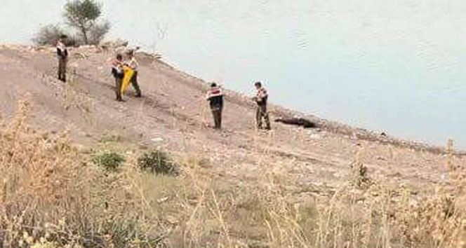 Barajda yanmış erkek cesedi bulundu
