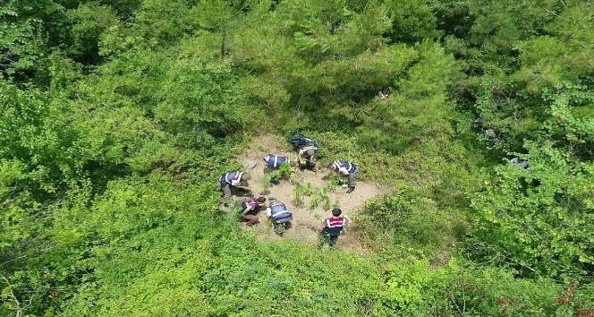 Jandarma’dan drone’lu uyuşturucu baskını