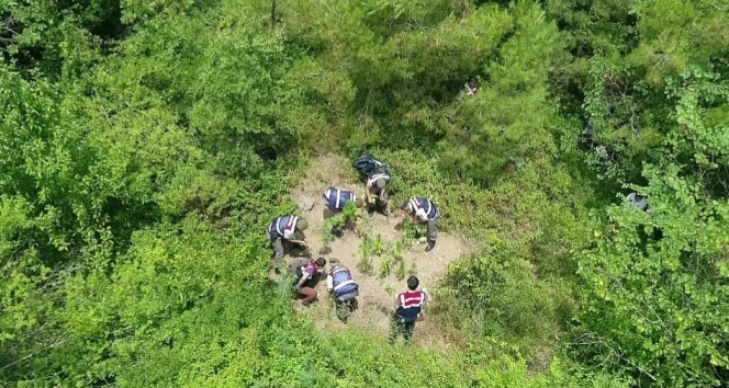 Jandarma&#039;dan drone&#039;lu uyuşturucu baskını