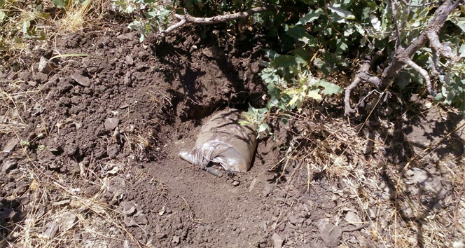 Silvan’da 2 adet EYP bulundu