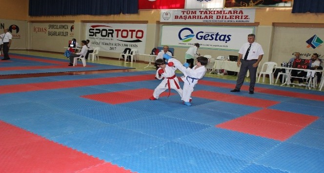 15 Temmuz Şehitleri ve Gazileri Anma İller Arası Karate Şampiyonası yapıldı