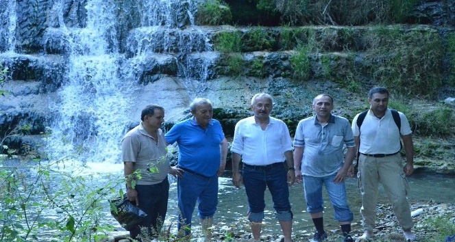 Zonguldak ormanlarının gizli hazineleri gün yüzüne çıkarılıyor