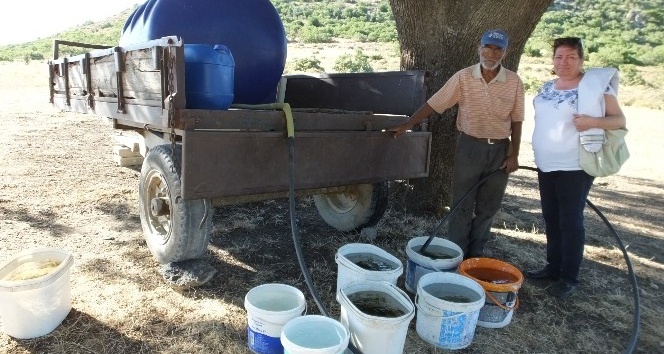 Çallı’da Çoban Ahmet’ten su sorununa tankerli çözüm