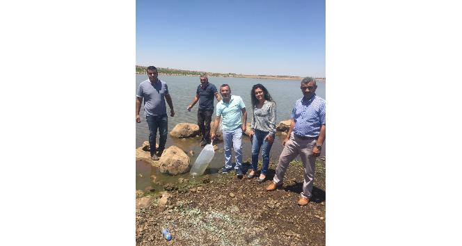 Sulutepe Göletine 300 bin balık bıraktı