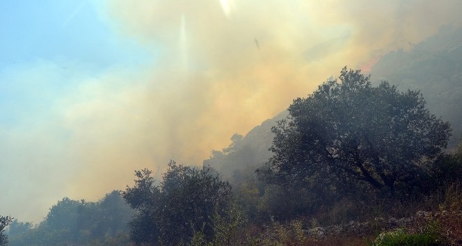 Tarihi Kozan Kalesi’nde orman yangını