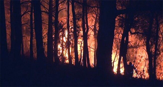İzmir&#039;deki orman yangını kısmen kontrol altına alındı
