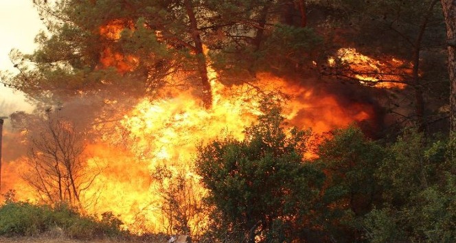 İzmir’deki yangına havadan müdahale başladı