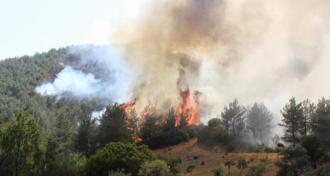 İzmir&#039;deki yangına havadan müdahale başladı
