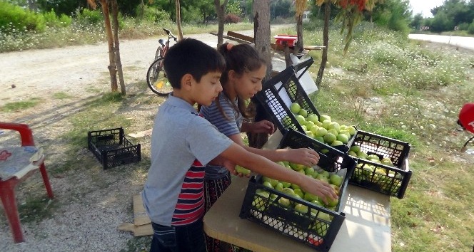 Okul harçlıklarını yol kenarında incir kiraz satarak çıkarıyorlar