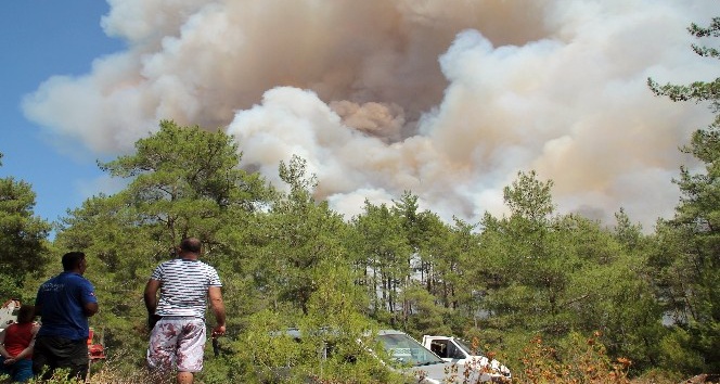 Marmaris’te orman yangını: Kontrol altına alınamıyor