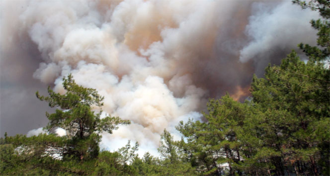 Marmaris&#039;te orman yangını !