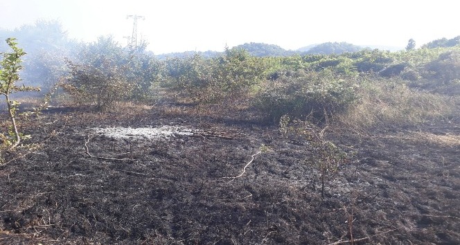 Kastamonu’da çıkan anız yangını, ormana sıçramadan söndürüldü