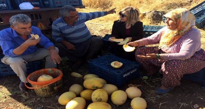İl Müdürü Kadıoğlu domates ve kavun üreticileri ile bir araya geldi
