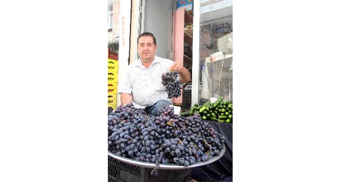Kilis’te Horoz Karası üzüm piyasaya çıktı