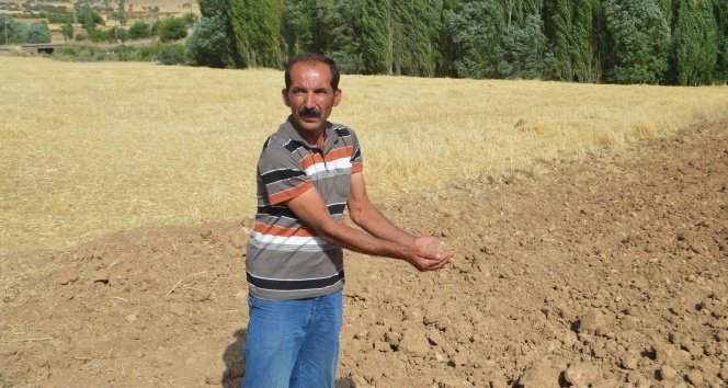 Mazıdağı’na bağlı Derecik köyünün toprağının akrepleri kaçırdığı iddia ediliyor