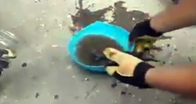 Atık su borusuna giren kediyi betonu delerek kurtardılar