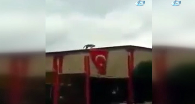 Çatıya çıkan kedi Türk bayrağını böyle açtı