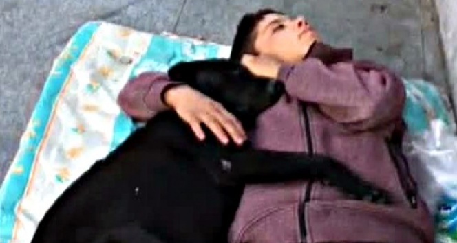 Beşiktaş’ta köpeğe sarılarak uyuyan çocuk yürekleri burktu