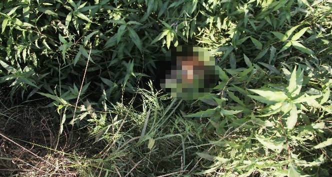 Sulama kanalında temizlik yapan işçiler erkek cesedi buldu