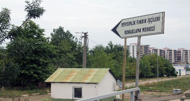Giresun’da mevsimlik fındık işçilerine modern konaklama merkezi