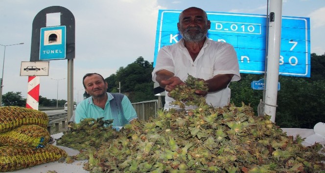 Fındık yola indi