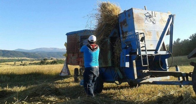 ’Patoz’ tarihe karışıyor