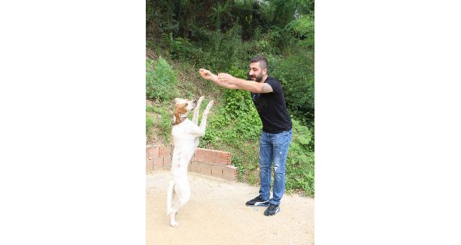 Trabzon’da sahibiyle müzik eşliğinde kolbastı oynayan köpek şaşırtıyor