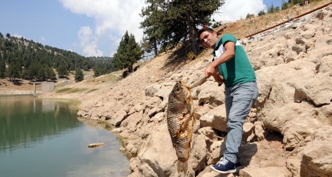 Esrarengiz balık ölümleri |Mersin haberleri