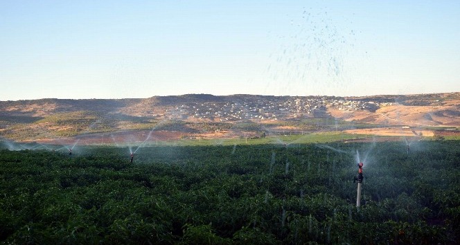 Çiftçiler yer altı sularıyla susuzluğu yenmeye çalışıyor