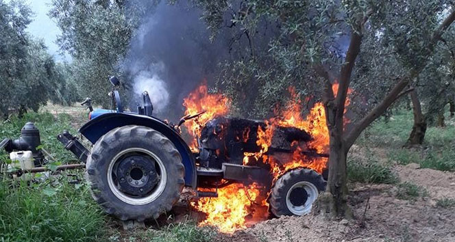 Zeytin sularken traktörü yandı